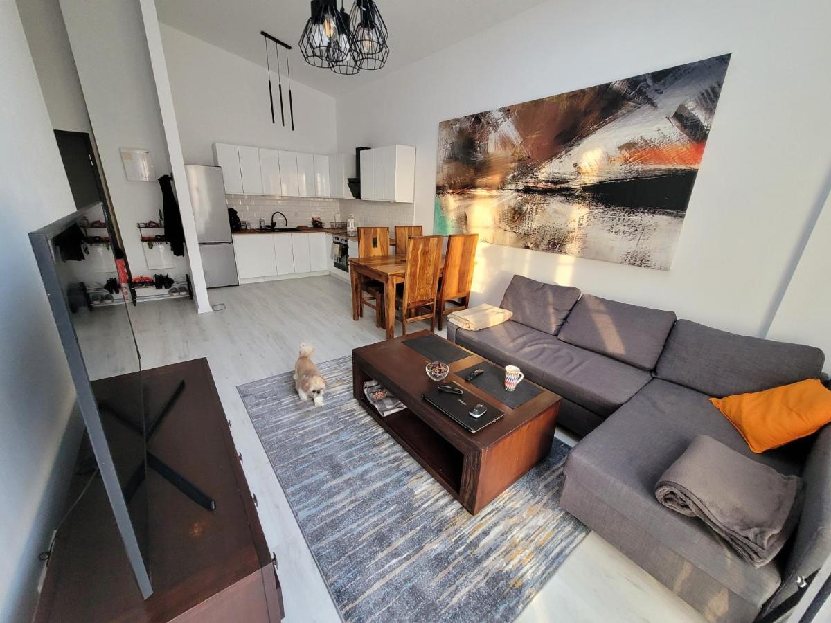 Apartament W Starym Mlynie Loft Rozanka Вроцлав Экстерьер фото