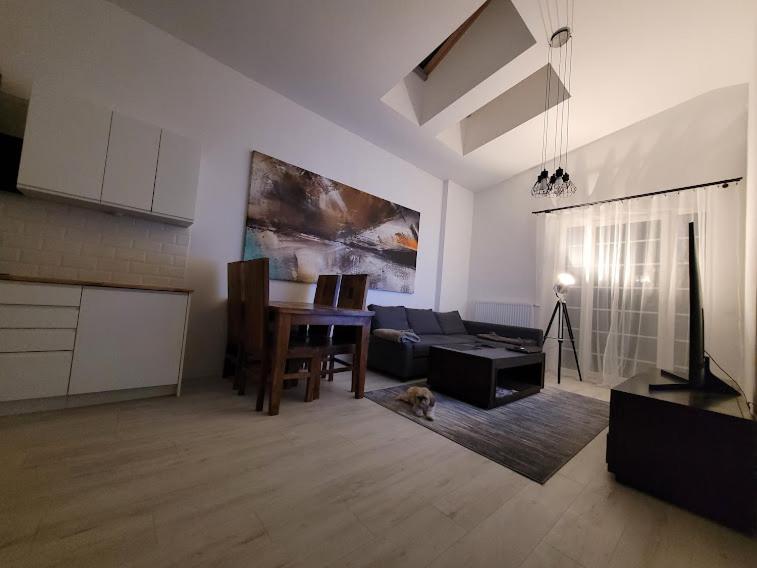 Apartament W Starym Mlynie Loft Rozanka Вроцлав Экстерьер фото